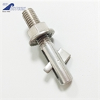 Blind bolts with flange nuts set